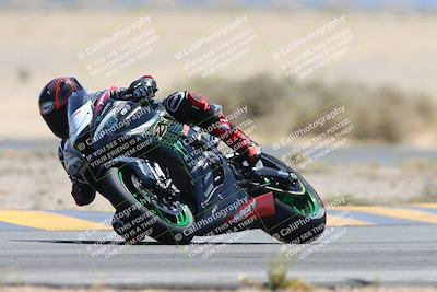 media/May-12-2024-SoCal Trackdays (Sun) [[ad755dc1f9]]/10-Turn 4 Tree of Life (1120am)/